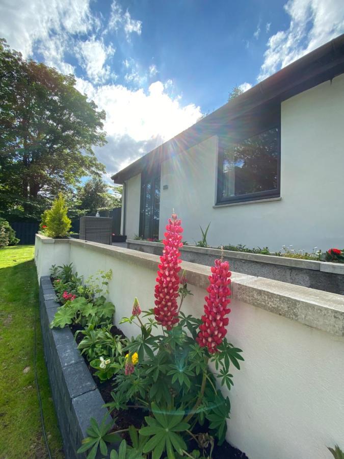 Aurora Suite B&B Coupar Angus Exteriér fotografie